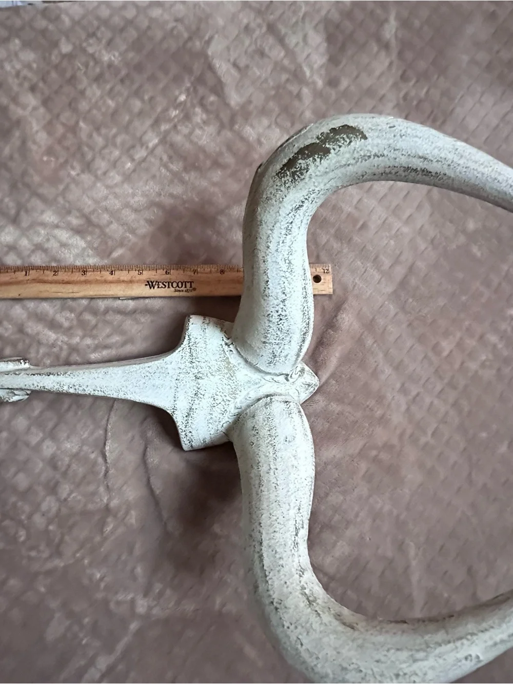 Vintage Rustic White Decorative Wall Horn